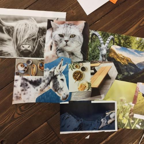 Collage aus Fotografien von Tieren, Natur und Essen